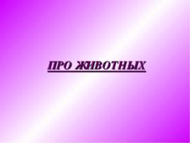 Такие разные кошки