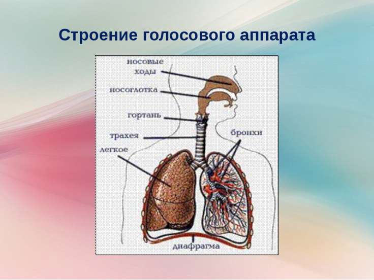 Как нарисовать пение