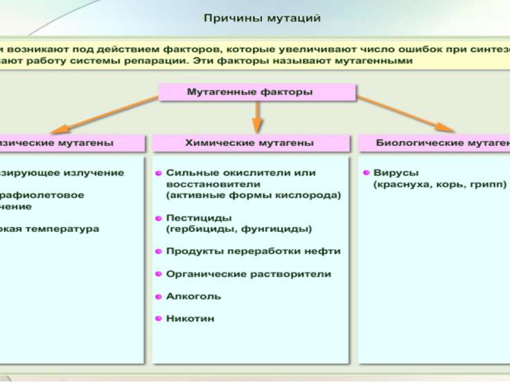 Наследственная трансмиссия простыми словами