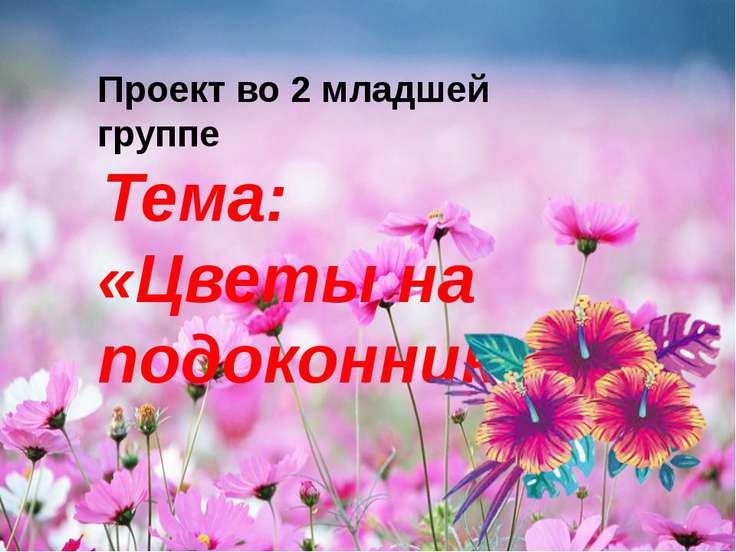 Презентация "Цветы На Подоконнике" - Скачать Презентации По ОБЖ