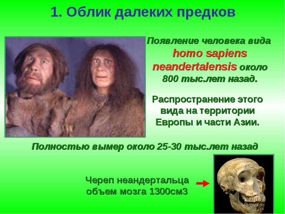 Далекими предками человека были