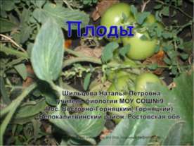 Плоды