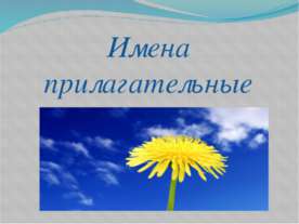 Имена прилагательные