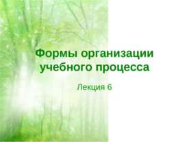 Формы организации учебного процесса