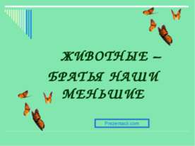 Животные