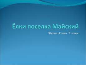 Ёлки поселка Майский