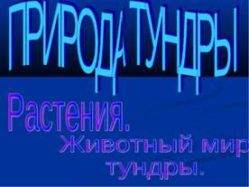 Природа тундры. Растения. Животный мир тундры