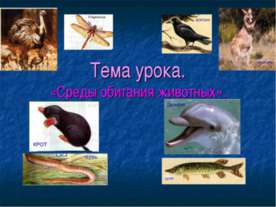 Среды обитания животных