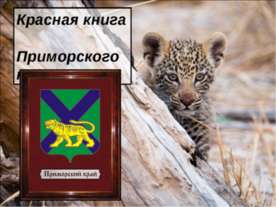 Красная книга Приморского края