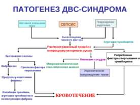 Патогенез ДВС-синдрома