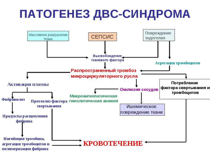 Двс синдром в акушерстве презентация