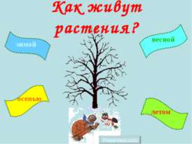 Как живут растения?