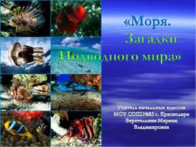 Моря. Загадки Подводного мира