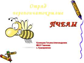Отряд перепончатокрылые пчелы