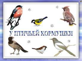 У птичьей кормушки