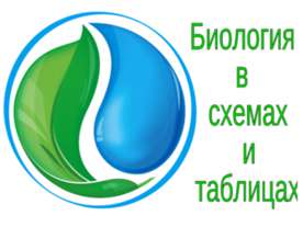 Биология в схемах и таблицах