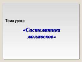 Систематика моллюсков