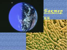 Бактерии 5 класс