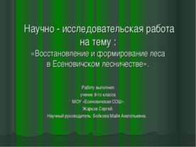 Восстановление и формирование леса