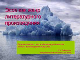 Эссе как жанр литературного произведения