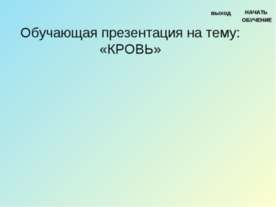 Кровь