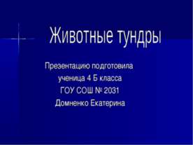 Животные тундры