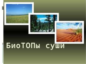 Биотопы суши