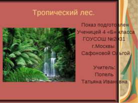 Тропический лес
