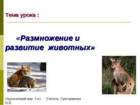 Размножение и развитие животных 3 класс