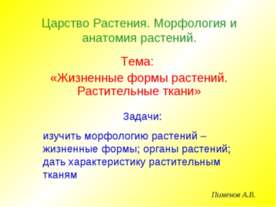 Жизненные формы растений. Растительные ткани