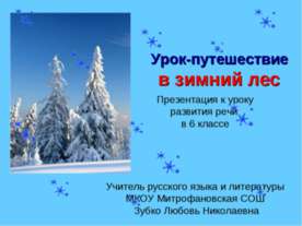Урок - путешествие в зимний лес