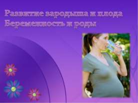Развитие зародыша и плода. Беременность и роды