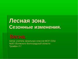 Лесная зона. Сезонные изменения