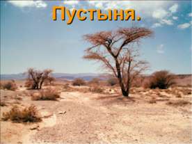 Пустыня