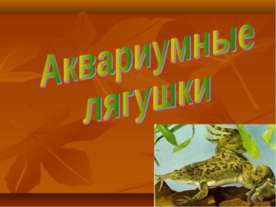 Аквариумные лягушки