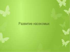 Развитие насекомых