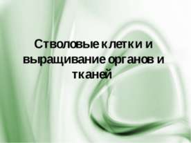 Стволовые клетки и выращивание органов и тканей