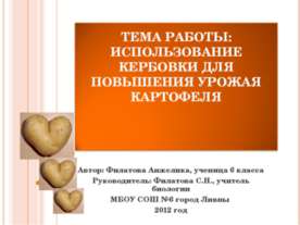 Использование кербовки для повышения урожая картофеля