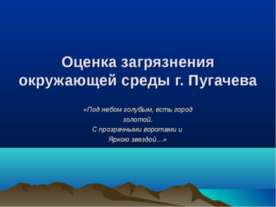 Оценка загрязнения окружающей среды г. Пугачева