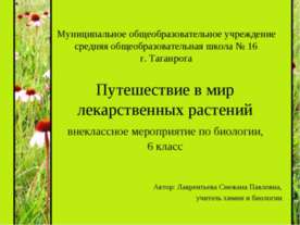 Путешествие в мир лекарственных растений