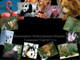 На грани вымирания