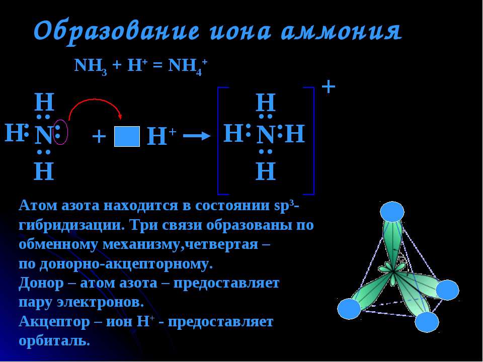 Соединения атомов азота и водорода. Механизм образования Иона аммония nh4 +. Образование Иона аммония nh4. Строение молекулы Иона аммония. Строение аммиака и Иона аммония.