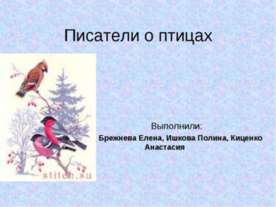 Писатели о птицах