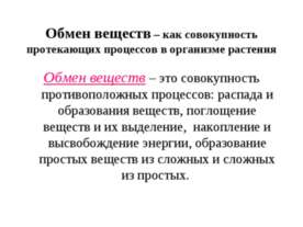 Обмен веществ