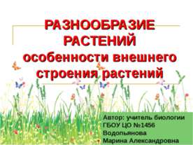Разнообразие растений. Особенности внешнего строения растений