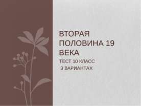 Вторая половина 19 века