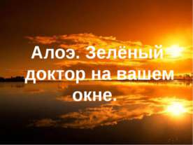 Алоэ. Зелёный доктор на вашем окне