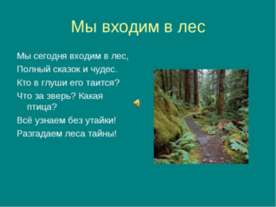 Мы входим в лес