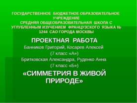 Симметрия в живой природе 7 класс