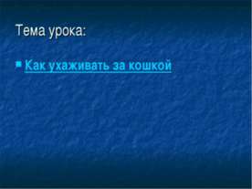 Как ухаживать за кошкой
